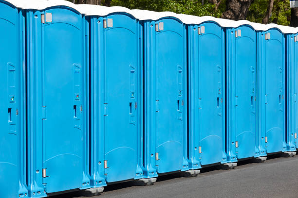 Best Standard Portable Toilet Rental in Hometown, IL